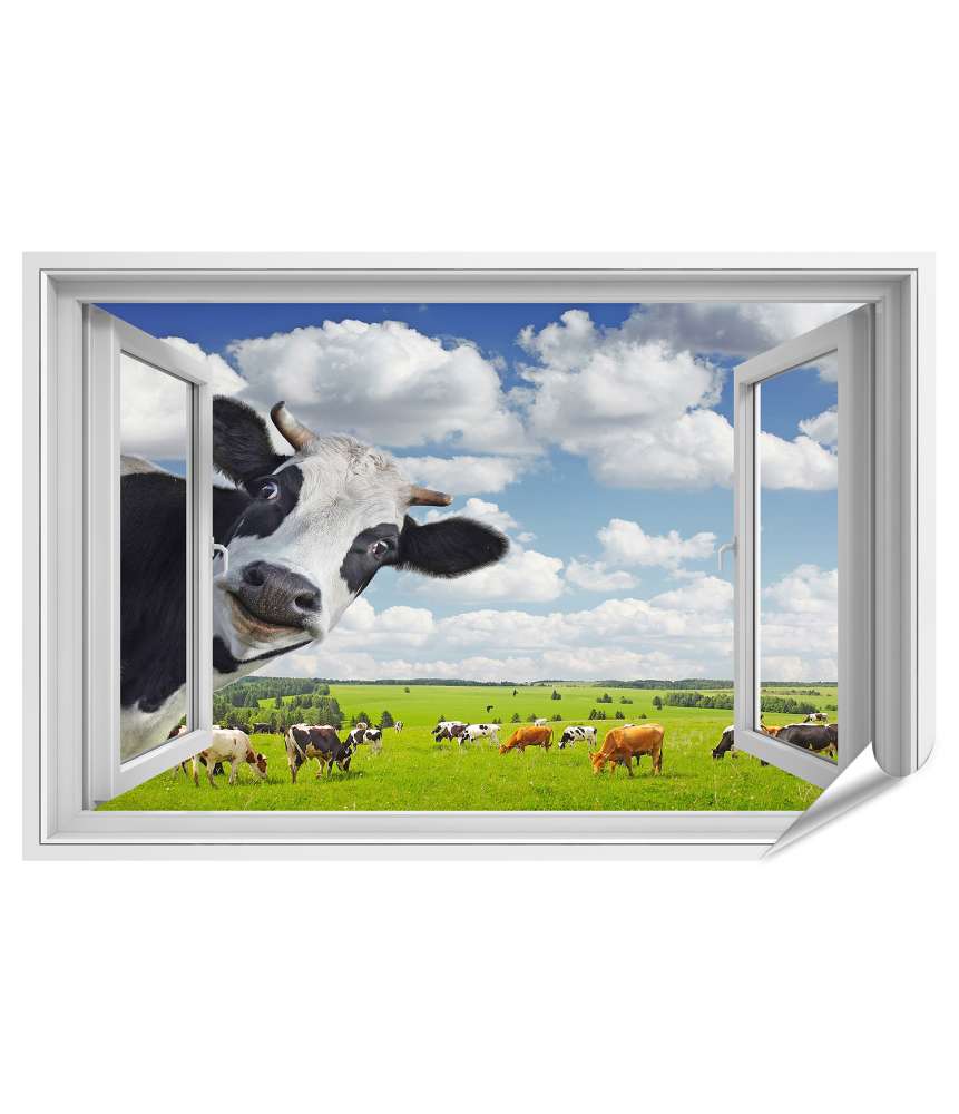 Premium Poster Lustige Kuh blickt in Kamera durch Fenster - Wandbild