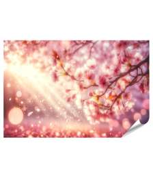 islandburner XXL Premium Poster Zartrosa Kirschblüten im Frühlingslicht